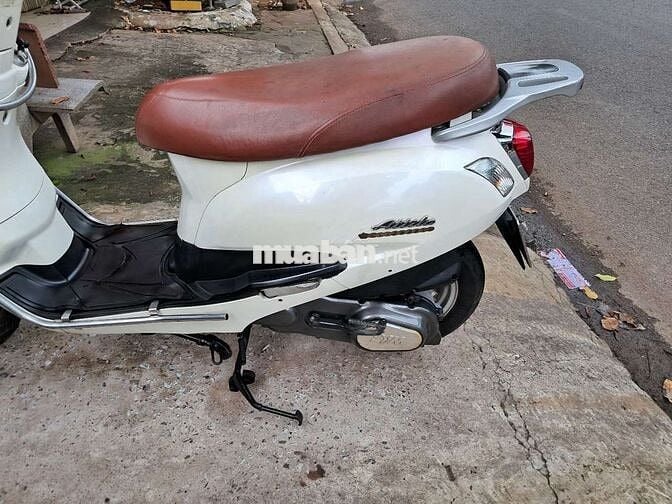 Elizabet trắng..51T8-6576 Giấy đầy đủ