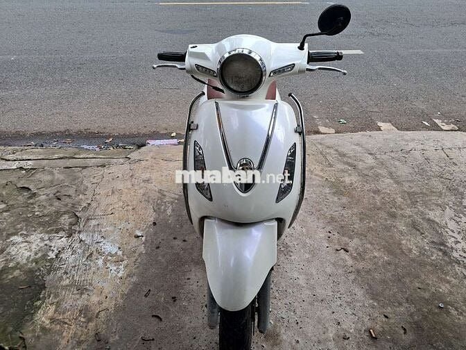 Elizabet trắng..51T8-6576 Giấy đầy đủ