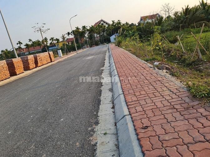 Cần bán lô  Khu B TĐC Bắc Sông Cấm đủ diện tích  60m2 0854093999