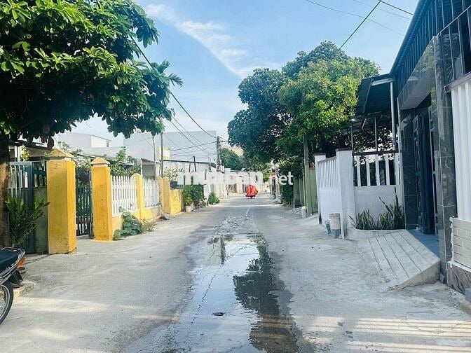 Đường bê tông 7m Bình Kỳ Hòa Quý.Dân cư đông đúc thích hợp xây căn hộ