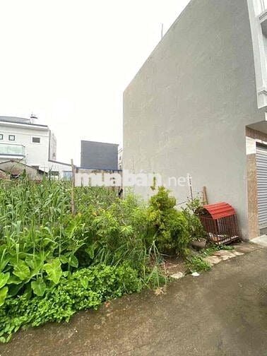 Bán lô đất rẻ nhất Vọng Hải,Hưng Đạo,Dương Kinh giá 7xx