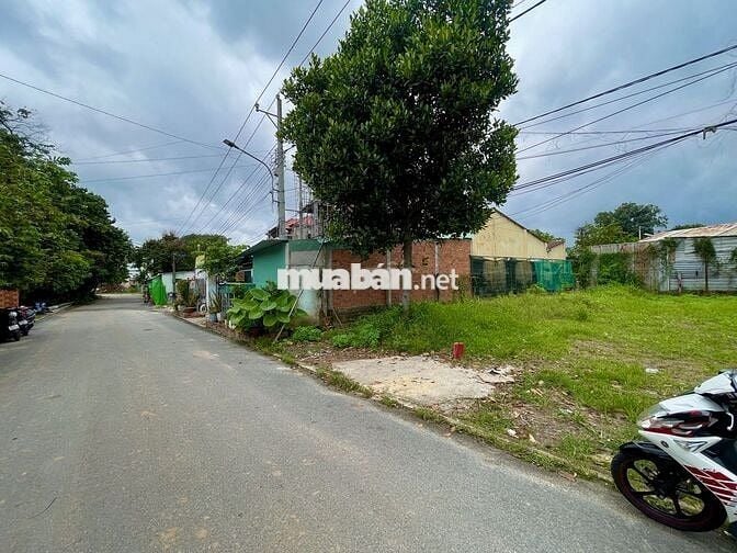 bán đất -Diện tích ngang 5 sâu 35 -Giá 260Tr ✅ ***