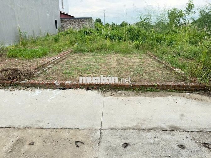 Bán Gấp Lô Đất Vị Trí Vàng Tại Thôn Ấp Tre, Xã Quang Minh - Mê Linh -