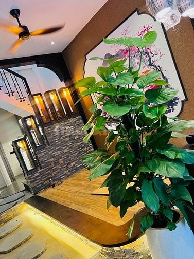 Chính chủ bán nhà mặt tiền Huỳnh Tấn Phát sổ hồng.