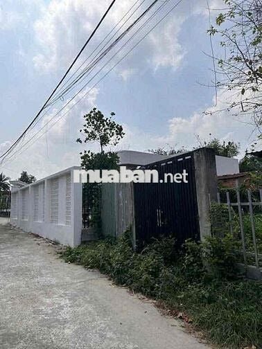 Bán Đất Nền Thổ Cư Giá Rẽ, Đất Vuông Vức 7x23m. Sổ hồng pháp lý đầy đủ