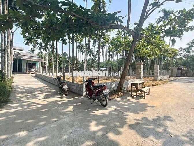 Bán nhanh lô 3 mặt tiền Hoà Sơn sát đường nhựa"