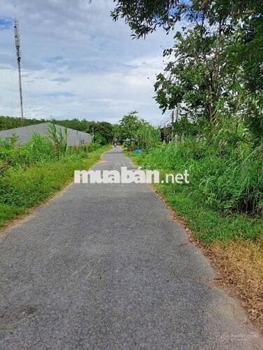 Bán đất 288m2 tại An Tịnh, Trảng Bàng, Tây Ninh, sổ riêng, 520 triệu