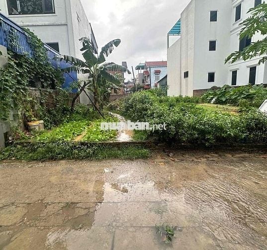 Bán đất , Bắc Hồng , Phúc Thịnh , Đông Anh 60m2 , MT4m thông ô tô