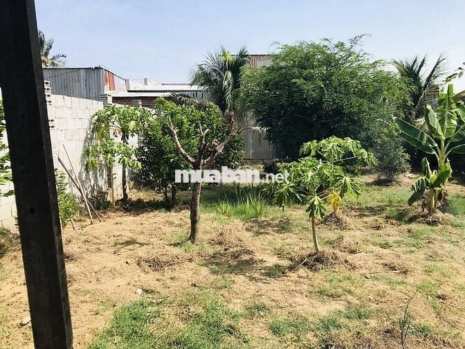 BÁN NHÀ LONG BÌNH CHÍNH CHỦ BAO SỔ LÊN THỔ 100M2