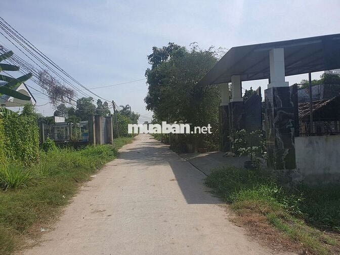 Đất Mỹ Hạnh Nam SHR 150m2 chỉ 1.1 tỷ; 1 Xẹc N7, Không quy hoạch