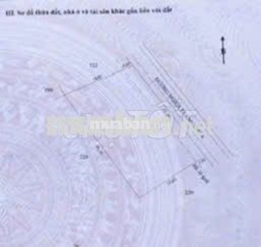 Đất sổ hồng riêng 495 m2 (trong đó có 200 m2 thổ cư).