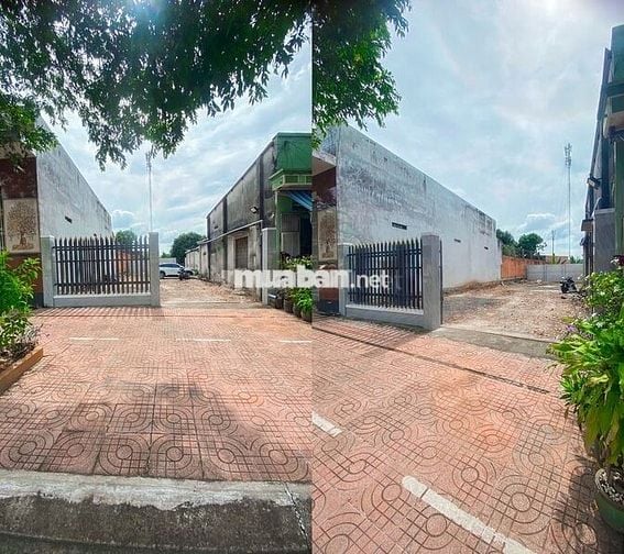 Đất đẹp mặt tiền đường Võ Thị Sáu 225m2 (7,5 x 30) sẵn 60 thổ cư
