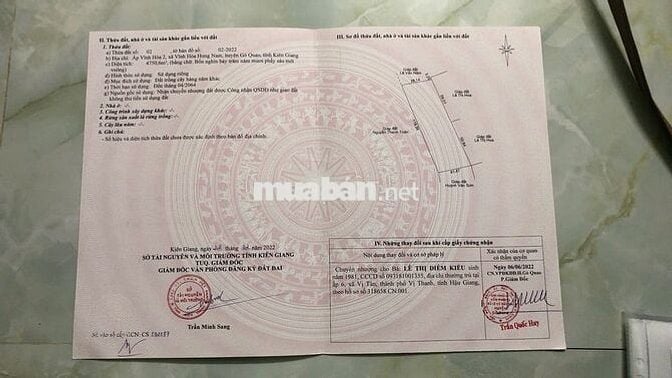 🌳 BÁN GẤP VƯỜN CAM SÀNH 18.468 CÔNG – VỊ TRÍ ĐẸP, GIÁ SIÊU HỜI 🌳