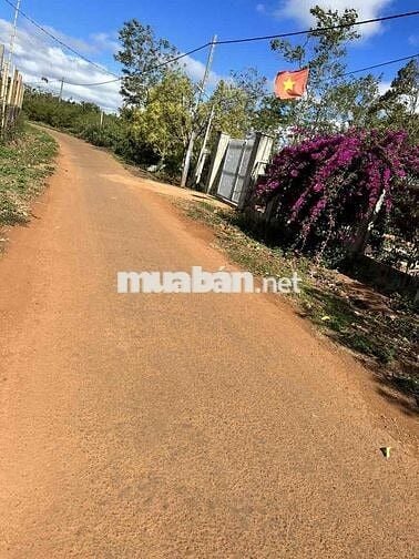 124m2 đất thổ cư đường nhựa quy hoạch 12m