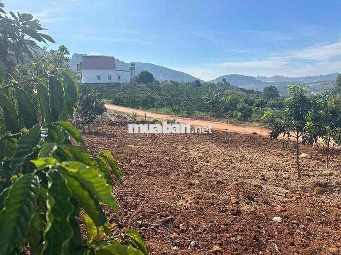 🔥 Bán đất thị trấn Nam Ban – view đồi núi yên tĩnh, thích hợp làm nghỉ