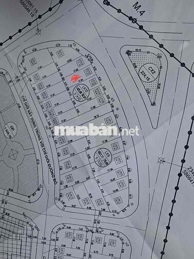 💥💥 BÁN ĐẤT KĐT Cổ Dương - Phúc Thịnh - Đất xây Biệt Thự - 111m2 - Mặt