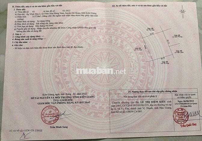 🌳 BÁN GẤP VƯỜN CAM SÀNH 18.468 CÔNG – VỊ TRÍ ĐẸP, GIÁ SIÊU HỜI 🌳