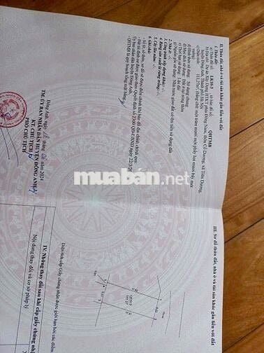 💥💥 BÁN ĐẤT KĐT Cổ Dương - Phúc Thịnh - Đất xây Biệt Thự - 111m2 - Mặt