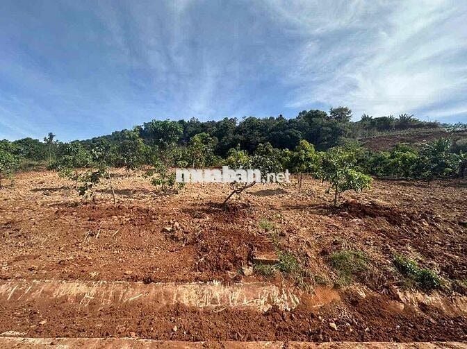 🔥 Bán đất thị trấn Nam Ban – view đồi núi yên tĩnh, thích hợp làm nghỉ