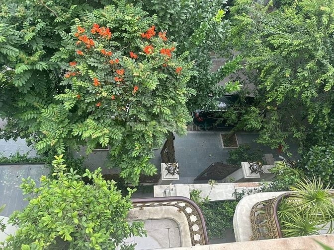 Bán biệt thự Việt Hưng, 190m2, hoàn thiện siêu đẹp, vị trí vip 