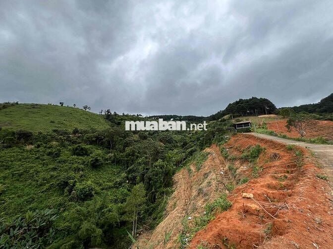 🔥 Bán đất thị trấn Nam Ban – view đồi núi yên tĩnh, thích hợp làm nghỉ