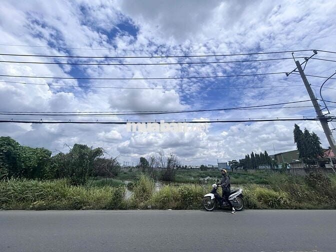 CẦN BÁN 2000m2, CÓ MẶT TIỀN ĐƯỜNG VÕ VĂN BÍCH, XÃ BÌNH MỸ, CỦ CHI