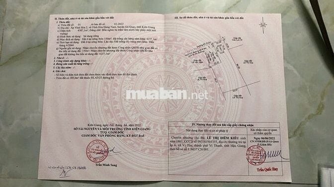 🌳 BÁN GẤP VƯỜN CAM SÀNH 18.468 CÔNG – VỊ TRÍ ĐẸP, GIÁ SIÊU HỜI 🌳