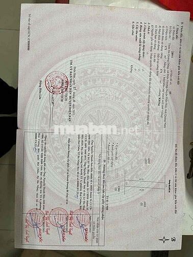 Chủ Chào Lô Gần Biển Thống Nhất 171m2 Đất Ở Đô Thị