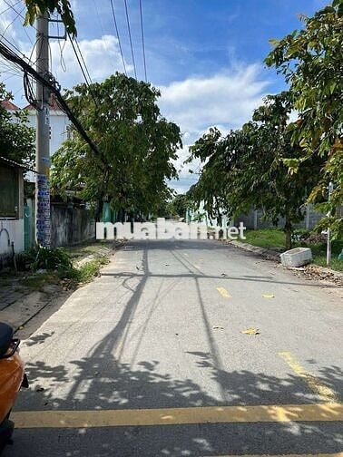ĐẤT MẶT TIỀN TAM ĐÔNG 11, DT:113m2,SHR, CHỈ 4.7 TỶ