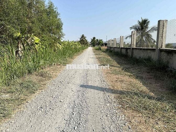 500m2 Vườn View sông, 499 Triệu, Xe Hơi Vào đất. Sổ Sẵn