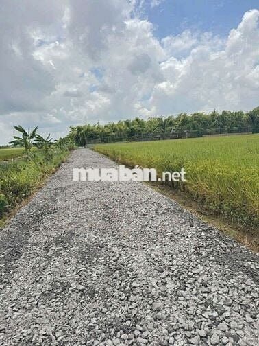Chỉ 420tr sở hữu 150m2 đất thổ cư view kênh cực đẹp