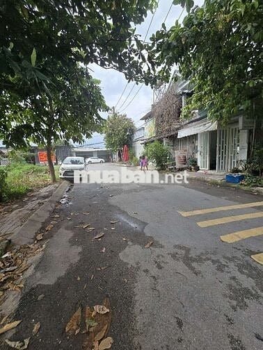 ĐẤT MẶT TIỀN TAM ĐÔNG 11, DT:113m2,SHR, CHỈ 4.7 TỶ