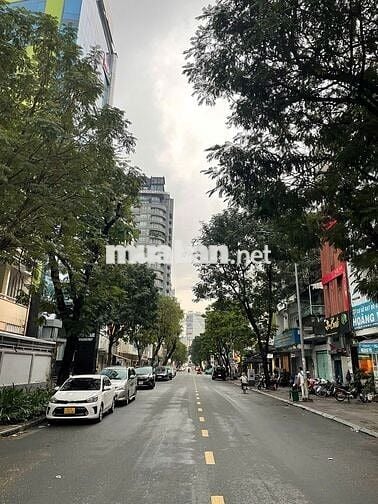 143 Lê Thị Hồng Gấm Q1- MT tuyệt đẹp -6 tầng thang máy - sẵn dòng tiền