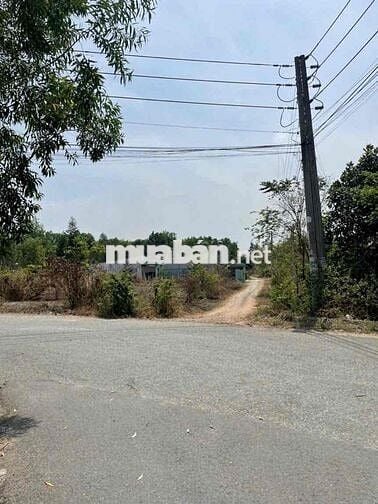 Bán đất Phú An Bến Cát gần ngã tư Phú Thứ 7.527 m2 giá 2tr3/ m2