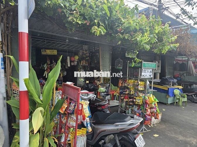 🔥 BÁN GẤP 300m² ĐẤT + TRỌ THỦ DẦU MỘT - CHỈ 7.5 TỶ TL