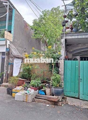 Bán Đất 1/ 20m ra Trần Thị Năm - P. Tân Chánh Hiệp cũ