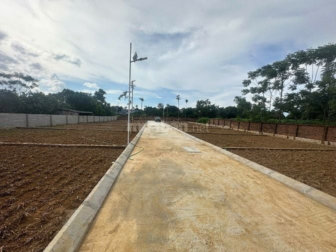 Bán đất Trại Hồ, Cổ Đông, Sơn Tây, ngay cạnh quốc lộ 21, giá 2,8 tỷ
