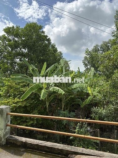 Nhà nguyên căn khu vực Hoà Xuân có vườn trồng rau nuôi gà