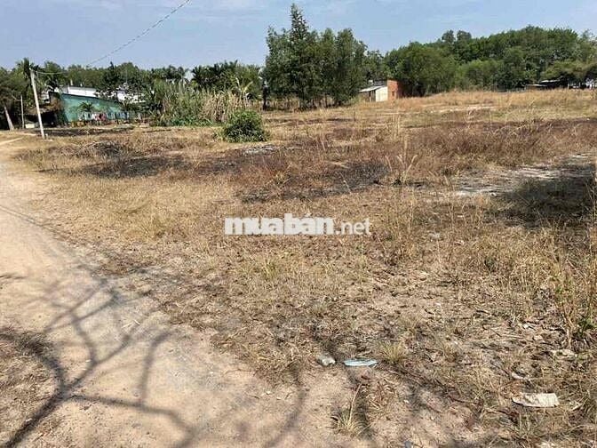 Bán đất Phú An Bến Cát gần ngã tư Phú Thứ 7.527 m2 giá 2tr3/ m2