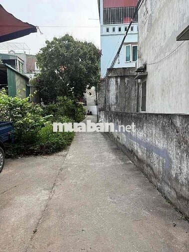 50m2 - Nhà riêng tại Đông Mỹ, Thanh Trì giá cực chất 4,9 tỷ