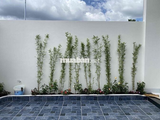 🌿 NHÀ MỚI TINH – GIÁ CHỈ 1,75 TỶ 📍 GÓC 2 MẶT TIỀN – THUỘC PHƯỜNG TP. B