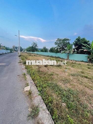 Thanh Toán chỉ 500tr Sở Hữu Đất mặt tiền Kinh Doanh Tại KDC Phước Tân