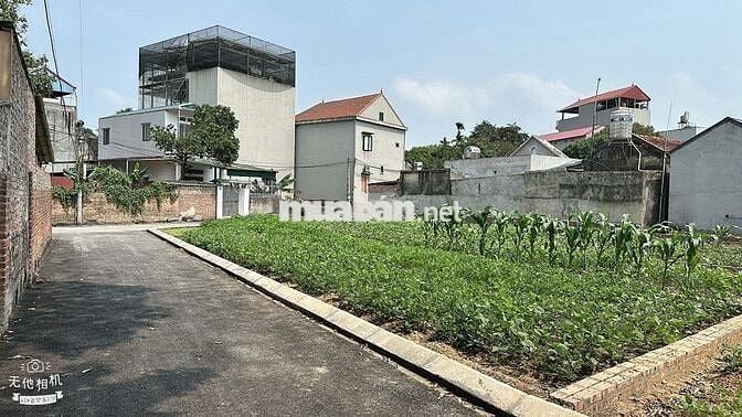 Bán Đất Bắc Sơn - 100m2 - Mt 6m - Phân lô - Ngõ thông - Giá đầu tư
