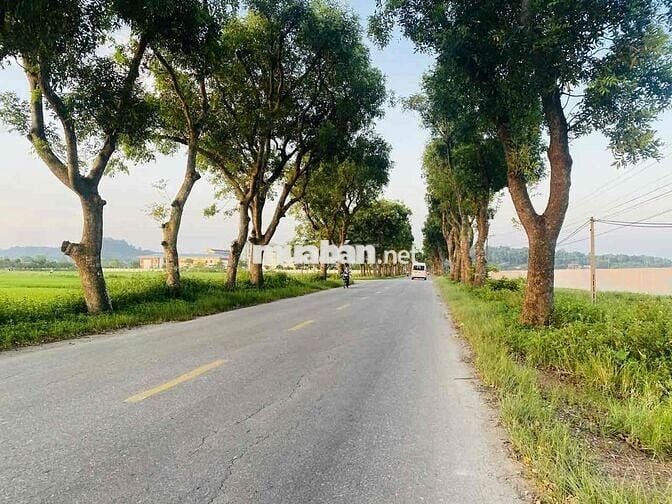 Quá rẻ-đất Mai Đình(S/Sơn)-100m2ngõ ô tô-sát vách 3 cụm KCN-giá đầu tư