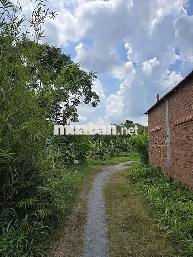 Tôi chính chủ cần bán lô đất full thổ cư huong chính nam xã ANT