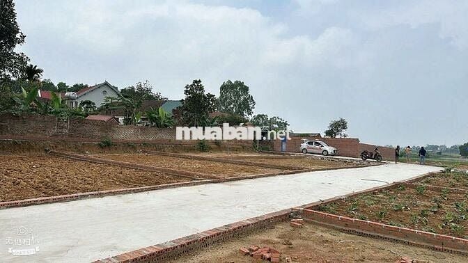Bán đất Phú Minh - 101m2 - Phân lô ô tô tránh - Sổ vuông đẹp - Giá rẻ