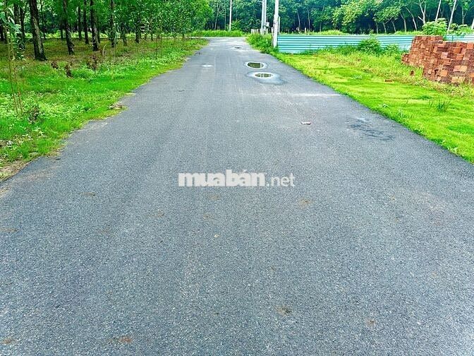Đất nền CHÁNH PHÚ HOÀ – TP. HỒ CHÍ MINH