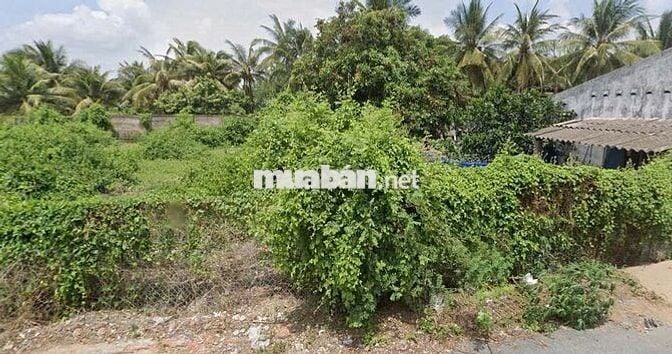 CƠ HỘI VÀNG: ĐẤT THỔ CƯ 90M² TP MỸ THO – GIÁ CHỈ BẰNG 1 CHIẾC XE HƠI!