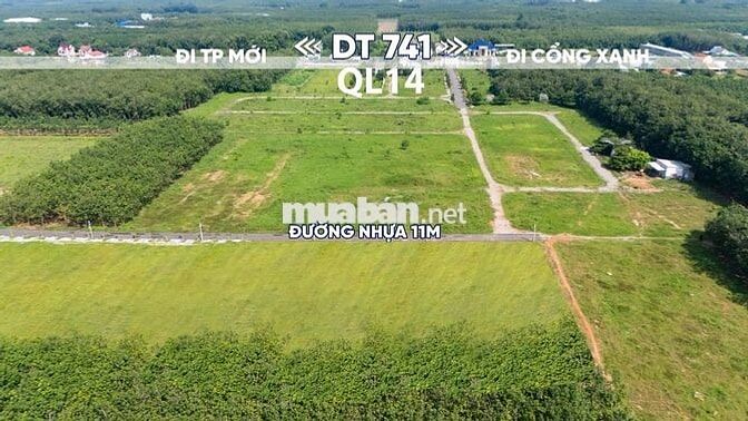 Đất nền CHÁNH PHÚ HOÀ – TP. HỒ CHÍ MINH