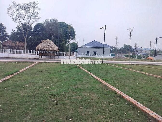 Bán đất Phú Cường - Sóc Sơn - 96m2 - Mt 6m - Ngõ ô tô thông